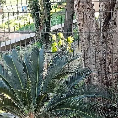 Casa Mea Hotel
